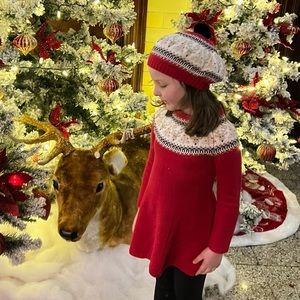 Euc reindeer sweater and beret set